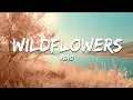 Download Lagu Nao - Wildflowers (Lyrics)