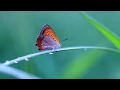 Yui Onodera & Vadim Bondarenko - Cloudscape 8