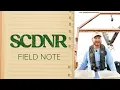 SCDNR Field Notes Trawling the Tides of Charleston