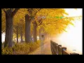 Download Lagu Gió mùa thu năm ấy - Nhạc trẻ - mtd