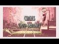 Circles - Post Malone Lunity Cover