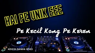 Download Viral - HAI PE UNIK E PE KECIL KONG PE KEREN || MINION BANANA AUDIO REMIX MP3