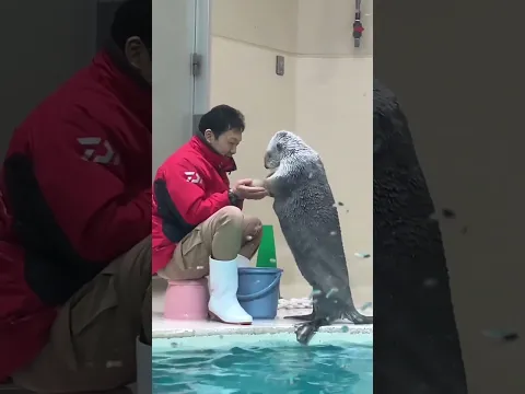 Cutest Otter ❤️🥹