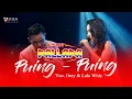 Puing Puing - New Pallapa 2019 Live Anti Retak Community - Gerry & Lala