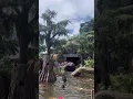 Download Lagu Tiana’s Bayou Adventure @Magickingdom Walt Disney World