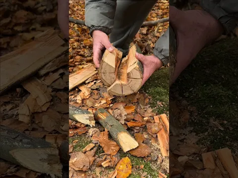 How to Make a Swedish Fire Log with Just a Saw! 🔥 #camping #outdoors
