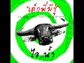 เด็กพี่มีชู้