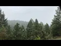 The Reverend- A Greensky Bluegrass Cover