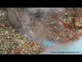Download Lagu Kelud Volcano, East Java - hydrothermal activity in the crater lake April 2022