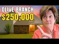 Olive Branch MS Homes for Sale 250 000 Tour 3 Bedroom Home