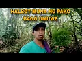 Download Lagu Palatandaan na mayaman pa tayo  sa Likas na yaman Pag kuha ng mga libreng ulam