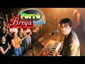 Forró Brega VOL.5   A Mais Nova Sensação Continua Agitado A Galera  O Novo Som 