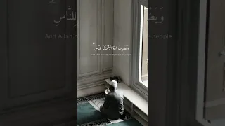 يهدي الله لنوره من يشاء 