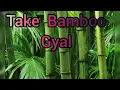 Take Bamboo - Melick & Boogy Rankss Dutty Dutty Riddim(2022 Soca)