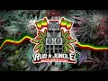 🟩🟨🟥 Danny Byrd Ft. D Double E - Selecta (Extended Mix)