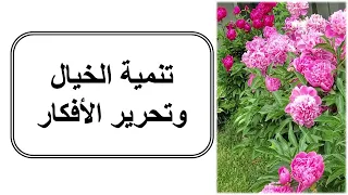 الإبداع في الحياة اليومية الجزء التاني تنمية الخيال وتحريرالأفكار 