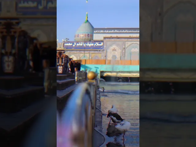 ⁣ألم ألم يكفيه العمر قضي تاليه