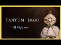 Download Lagu Tantum ergo [CON LETRA] - Himno Eucarístico| Ally\u0026Juan | Música Católica