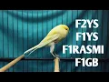 Download Lagu BAHAN F2YS, F1YS, F1RASMI, GIBOSSOO, AF   !!   MONGGO DI GAS BOS Q