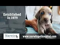 Veterinary Information Referral Services in Irwin PA details at YellowPages com