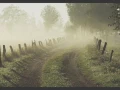 Misty Morning