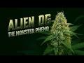 Growlog - 79 Days Flower to Harvest Monster OG Pheno
