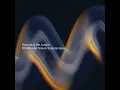 Birds by a Brook - Sounds of the Jungle