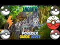 Complete Pokedex Entry Anorith Pokemon Database Series
