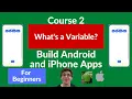 Unit 1 Lesson 8 Variables Introduction