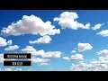 DIM KELLY - Nocturna Animal