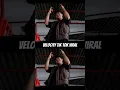 Download Lagu Velocity Viral Tik Tok