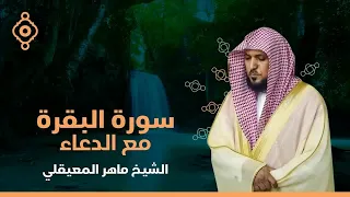 الشيخ ماهر المعيقلي   سورة البقرة  النسخة الأصلية                                         دندنها