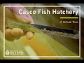 Casco Fish Hatchery Tour