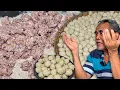 Download Lagu GAK PELIT ILMU, JUALAN CILOK LOKASI NGUMPET SEHARI 100 KG LUDES, DARI JUALAN CILOK BS DAFTAR HAJI !!
