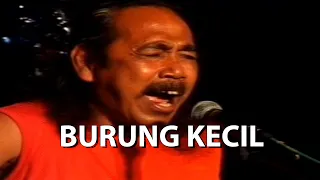 Download Sawung Jabo - Burung Kecil MP3