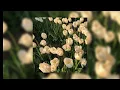 Download Lagu Hindia - membasuh | speed up song