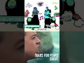 Download Lagu Did You Know This Viral Song Was Sampled? 大张伟 (Wowkie Da) - Sunshine, Rainbow, White Pony #shorts