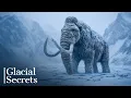 Download Lagu 5+ HOURS of Amazing Ice Age Facts To Fall Asleep To