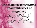 Pregnancy At 35th Week The Complete Mother s Guide About 35th Week Of Pregnancy