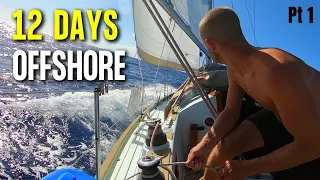 Sailing 1258 Miles Offshore From The Caribbean To USA To Escape Hurrican Season Ep 65