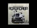 Download Lagu Peekaymusic - Shukumisa (feat. Fles)