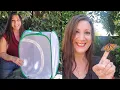 How To Raise Butterflies At Home - Butterfly Habitat Cage