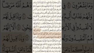 سورة البقرة آيه   الى آيه    بصوت الشيخ ياسر الدوسري دندنها