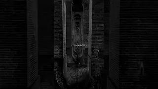 تحطني جنب انا مين الشامي Shorts 