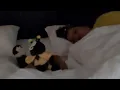 Download Lagu 😁 Puiuletele se joacă în pat cu păpușile 😁 (la hotelul Zoku din Viena)