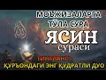 Lagu ЯСИН СУРАСИ – ҲАР КУНИ ЕРТАЛАБ ТИНГЛАНГ! Ясин сураси - Узбекча дуолар / Тонги дуо