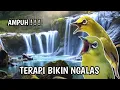 Download Lagu terapi pleci bikin ombyokan cepat ngalas