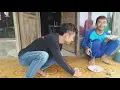 Lagu MALU-MALU TAPI MAU..