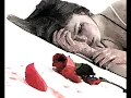 الله يسامحك أصالة  شبااب الوطن العربى .wmv