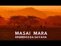 Lagu MASAI MARA - Segredos da savana